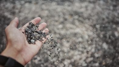 person pouring pebble