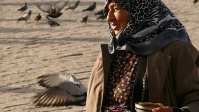 person near a group of bird close-up photography