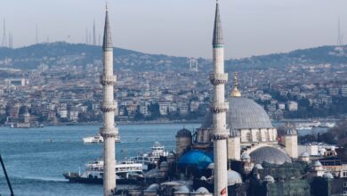 blue mosque near body of water